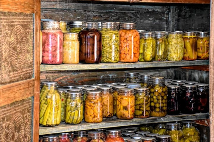 wat is gefermenteerd voedsel