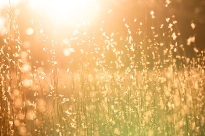 zon en gezondheidsvoordelen