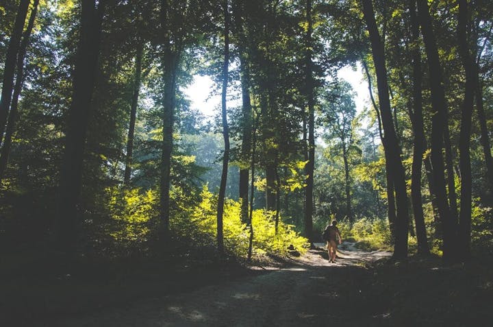 mindfulness wandelen